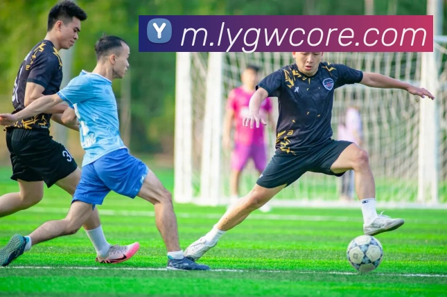 利盈官网服务体系